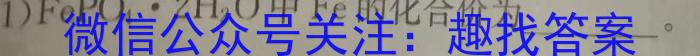 q广西省2023年秋季学期高一入学检测卷化学