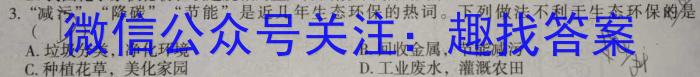 32024届南宁二中、柳铁一中新高考高三摸底调研测试（9月）化学