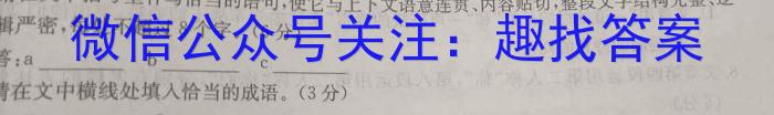 2024届全国高考分科模拟检测示范卷（一）XGK语文