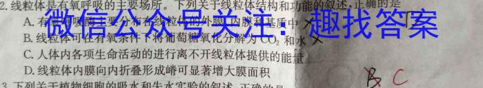 百师联盟2024届高三开学摸底联考（全国卷）生物试卷答案