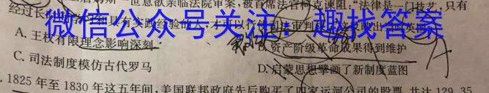 菁师联盟2024届8月质量监测考试历史试卷