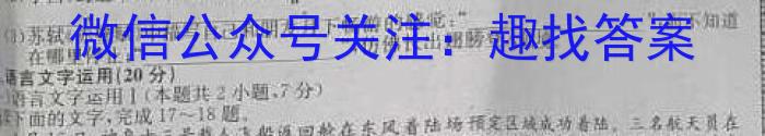 吉林省长春市2023年绿园区七年级新生入学能力达标水平测查语文