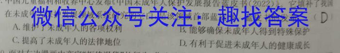 名校联考·2024届高三总复习·月考卷(四)D4政治y