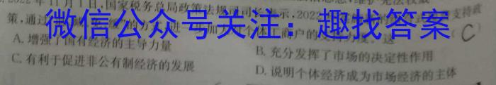 江西省2024届九年级初中目标考点测评（十）政治~