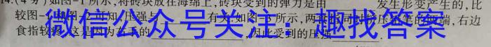 河北省2023-2024学年高三省级联测考试（8月）q物理