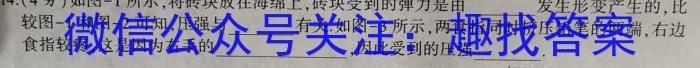 湖南省长沙市2024届九年级第一次质量调研检测物理`