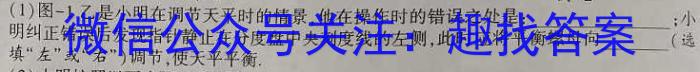 皖江名校2023-2024学年度上学期高二年级联考q物理