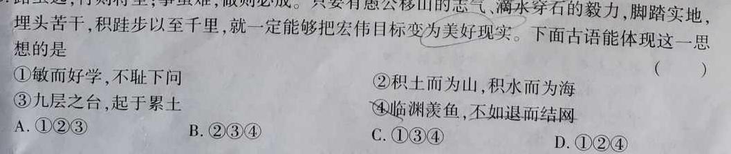 中考必刷卷·2024年安徽省八年级学业水平考试 压轴冲刺卷四思想政治部分