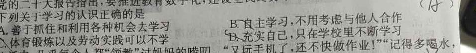 2024年浙江省“山海联盟”初中学业水平考试模拟卷（二）思想政治部分