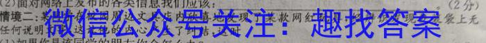 安徽省2023-2024学年九年级教学评价一政治~