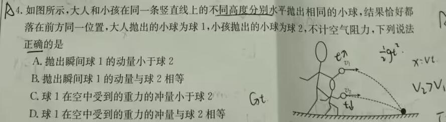 2023~2024年度上学年河南名校高二年级第一次联考-物理