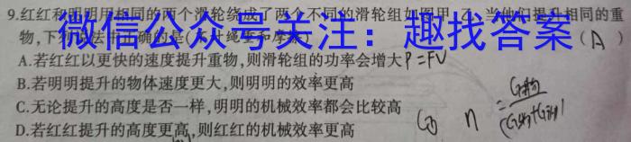河北省2024届高三试卷9月联考(灯泡 HEB)q物理