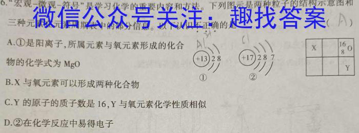 q陕西省2024届九年级阶段评估（一）【1LR】化学