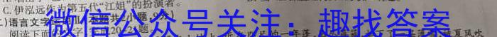 2024届湖南省高三入学摸底联考(8月)语文