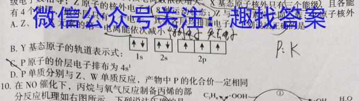 q陕西省宝鸡市2024届高三摸底考试试卷（一）【24024C】化学