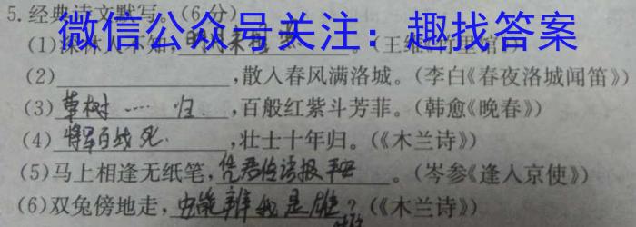 陕西省西安市2024届第一学期九年级第一次学科素养测试语文