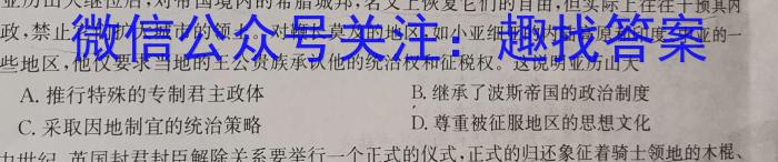 全国大联考2024届高三第二次联考（新高考Y）历史试卷