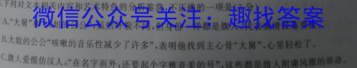 江西省九江市2024届九年级教学质量检测（一）/语文
