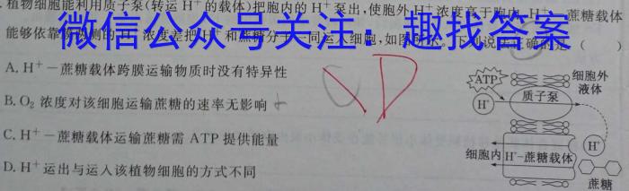 2024届高三年级8月联考（JH）生物
