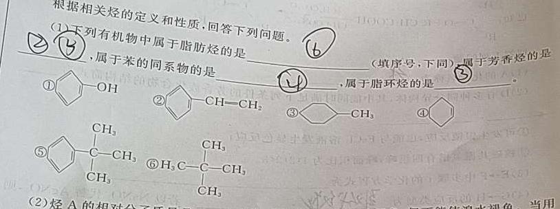 72023-2024学年安徽省八年级上学期开学摸底调研化学