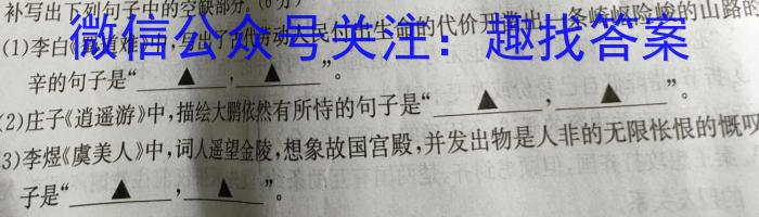 河南省开封市2023-2024学年五县联考高二上学期第一次月考联考卷/语文