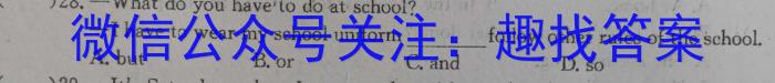 安徽省2023-2024学年第一学期九年级教学质量监测英语试题