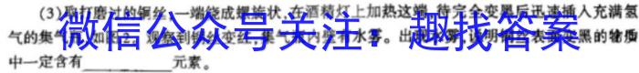 q广东省东莞市大朗启东学校2023-2024学年第一学期八年级开学测试卷化学
