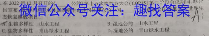 高三总复习 2025届名师原创模拟卷(一)1政治试卷d答案