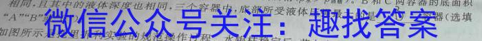 2024届全国高考分科调研模拟测试卷 XGK(一)l物理