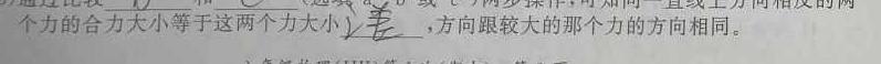 024届安徽T12教育九年级第一次调研模拟卷-物理试题及答案"