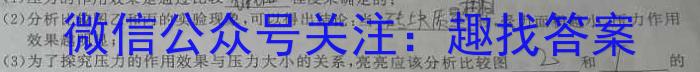 河南省郑州市第二初级中学2023-2024学年上学期九年级开学检测物理.