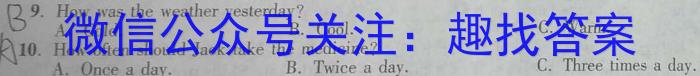 安徽省2023-2024学年第一学期九年级教学质量检测英语试题