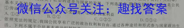 山西省朔州市2023-2024学年度第一学期九年级阶段练习（三）政治~