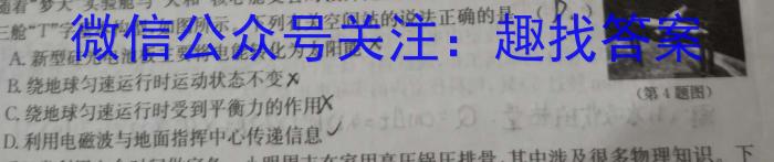 陕西省2024届九年级阶段评估（一）【1LR】物理.