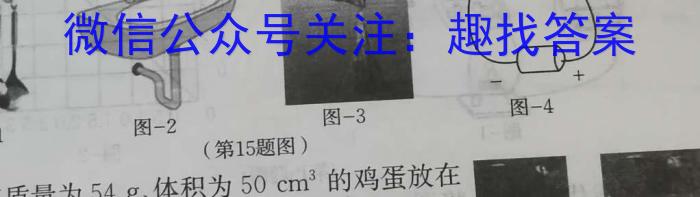 安徽省宣城市2024-2023学年度八年级第二学期期末教学质量监测q物理