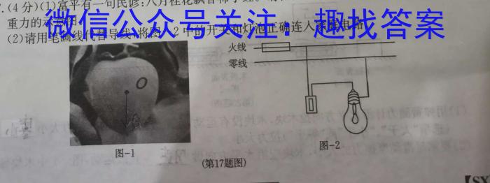 云南省2024届高三试卷9月联考(单杠 YN)l物理