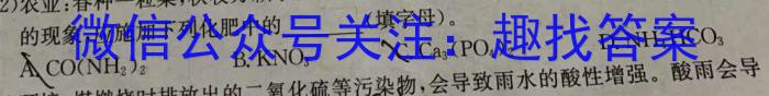 3江西省稳派教育联考2024届高三开学摸底考试化学