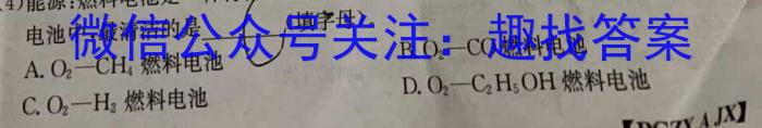 f江西省2024届九年级《学业测评》分段训练（一）化学