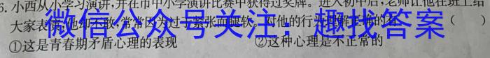 炎德英才大联考 湖南师大附中2024届高三月考试卷(三政治~