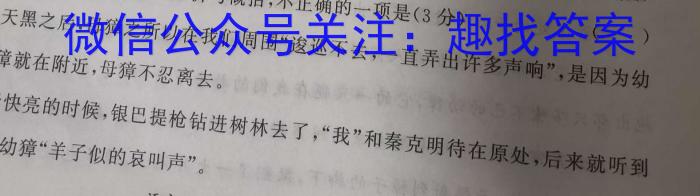 湖南省长沙市湖南师大附中2024届九年级第一次质量调研检测语文