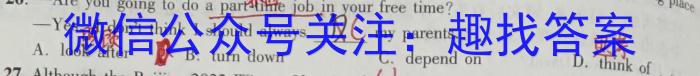 2024届江苏省苏南名校高三上学期9月抽检调研英语