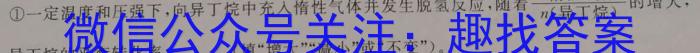 q全国大联考2024届高三第一次联考（1LK·TY）化学