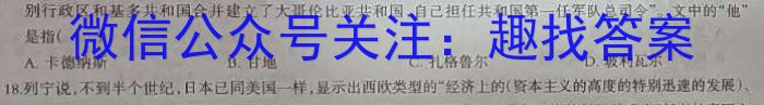 2024届安徽T12教育九年级第一次调研模拟卷历史试卷