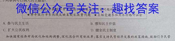 安徽省2023-2024学年度第一学期九年级阶段性评价（11月）政治~