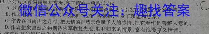 安徽省2024届高三10月质量检测卷语文