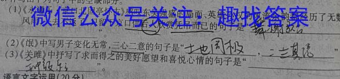 稳派大联考2023-2024学年新高二秋季开学考语文