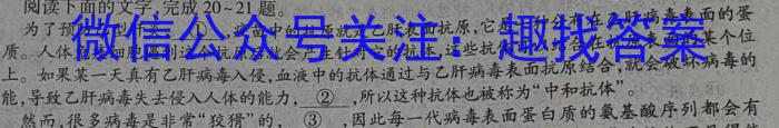 ［开学考］九师联盟2022-2023学年高三教学质量检测（X）语文