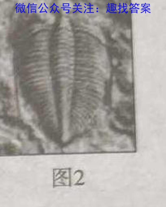 皖江名校2023-2024学年度上学期高二年级联考生物