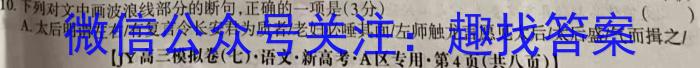 2023-2024学年度武汉市部分学校高三年级十月调研考试/语文