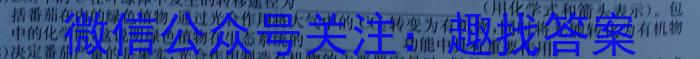 全国大联考2024届高三第一次联考（1LK·新高考-Y）生物试卷答案